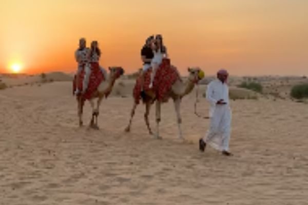 Camel Safari Dubai