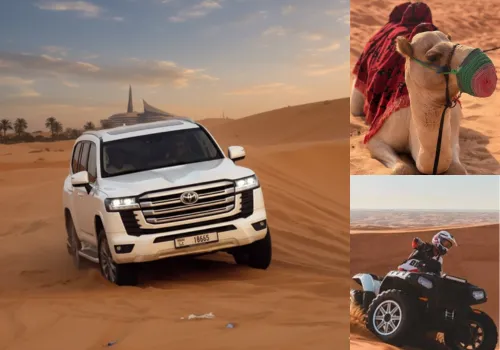 Dubai Desert Safari Adventure