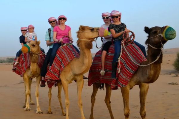 Camel Safari Ride