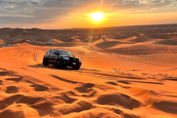 Desert Safari Gold